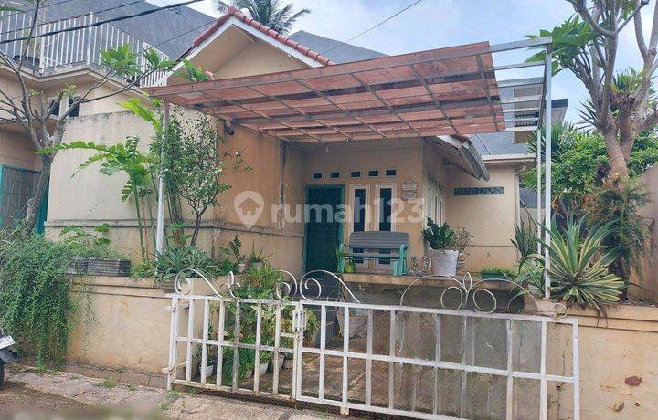 Jual Murah Harga Bu Rumah Di Taman Sari Bukit Damai Kondisi Bagus Luas Tanah 160 Meter Di Area Bsd