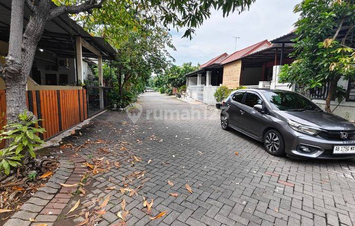 Rumah Harga Di Bawah Pasaran Di Palm Spring Regency