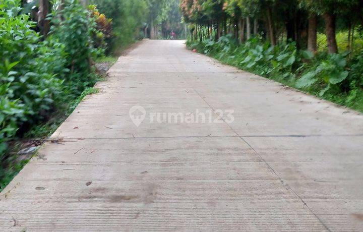 Jual Tanah Murah Di Ciseeng Bogor Luas 4732m2..surat Sertifikat Hak Milik Satu Nama..harga 450 Ribu Per M2