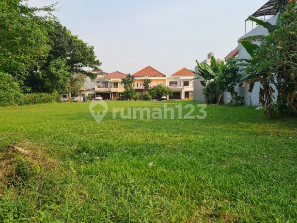 Termurah Tanah Kotak Hook Free Taman Samping Cemara Alam Sutera