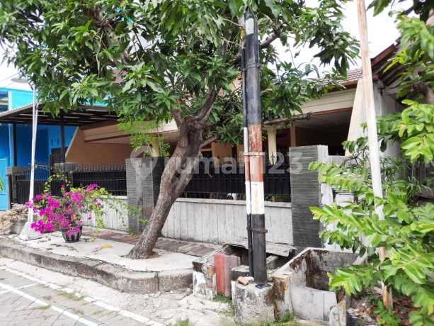 Murah Hitung Tanah Siap Huni Pondok Rosan Wiyung Dkt Citraland Murah Hitung Tanah Siap Huni Pondok Rosan Wiyung Dkt Citraland