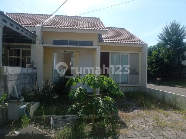 Rumah Di Perumahan Jade Hamlet Gresik Rumah Di Perumahan Jade Hamlet Gresik