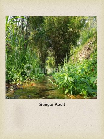 Lahan Cocok Utk Villa, Resto, Rumah Mewah, di Pinggir Jalan Kawasan Wisata Selorejo Malang Tanah Lahan Cocok Utk Villa, Resto, Rumah Mewah, di Pinggir Jalan Kawasan Wisata Selorejo Malang Tanah