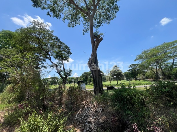 Tanah Golf View Citraland Jalan Raya Long View Tanah Golf View Citraland Jalan Raya Long View