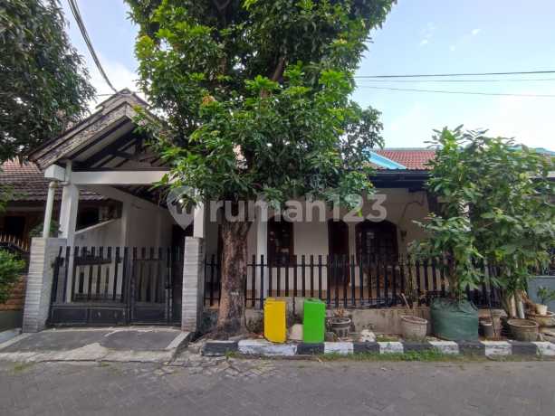 Rumah Rungkut Permai Murahhhh Row Jalan 2.5 Mobil Rumah Rungkut Permai Murahhhh Row Jalan 2.5 Mobil