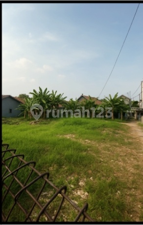 Tanah Bagus Produktif Cocok Buat Rumah Dekat Pintu Tol Desari Tanah Bagus Produktif Cocok Buat Rumah Dekat Pintu Tol Desari