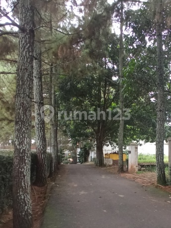 Sell Fast and Cheap Land Plot Near Tubagus Ismail, Dago