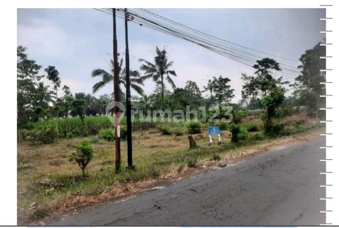 Tanah Murah di Singosari Tanah Murah di Singosari