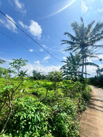 Dijual Tanah Cocok Untuk Perumahan Atau Perkebunan di Cimahi