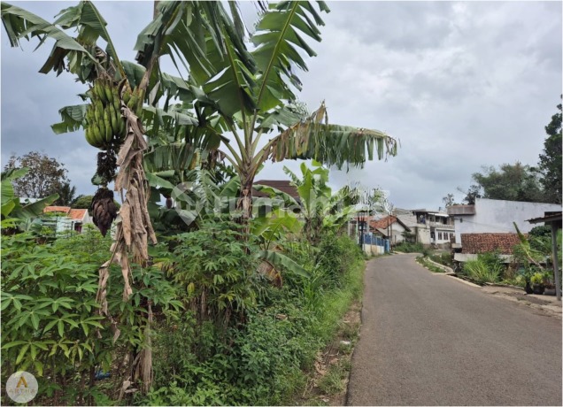 Turun Harga Jual Tanah Ngamprah Dekat Pemda Bandung Turun Harga Jual Tanah Ngamprah Dekat Pemda Bandung