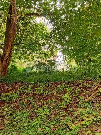 Strategic Affordable Land in Villa Trinity Lembang