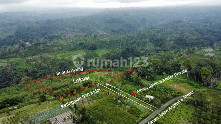 Tanah Super Murah Pinggir Jalan Los Sungai Ayung Payangan Tanah Super Murah Pinggir Jalan Los Sungai Ayung Payangan