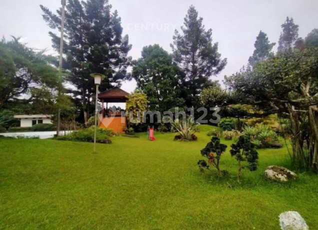 Villa Cantik Luas Area Wisata Jl Wisma Coolibah Cipanas Cianjur Villa Cantik Luas Area Wisata Jl Wisma Coolibah Cipanas Cianjur