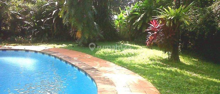 Big Opportunity, Big Garden, Big Swimming Pool, Very Quiet Secure Area, Close To Jis, Pondok Indah 1