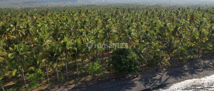 Leasehold - Exclusive Beachfront Land in Tejakula, Buleleng - A Rare Investment Opportunity 1