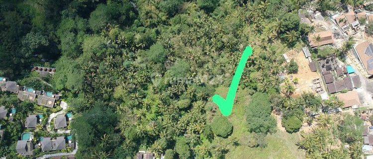 SUSUSUSUPER DEAL DI JUAL TANAH LOKASI BRESELA PAYANGAN UBUD GIANYAR 1