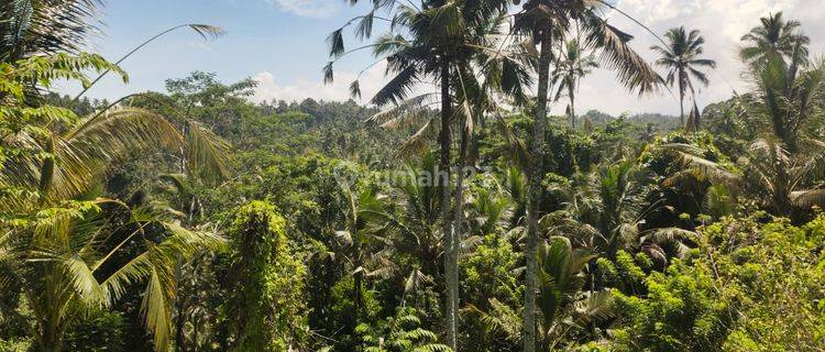 Land for sale in Pupuan Selemadeg location with valley views 1