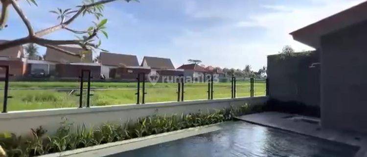 Dijual Villa Lokasi Lodtunduh Ubud View Sawah 1