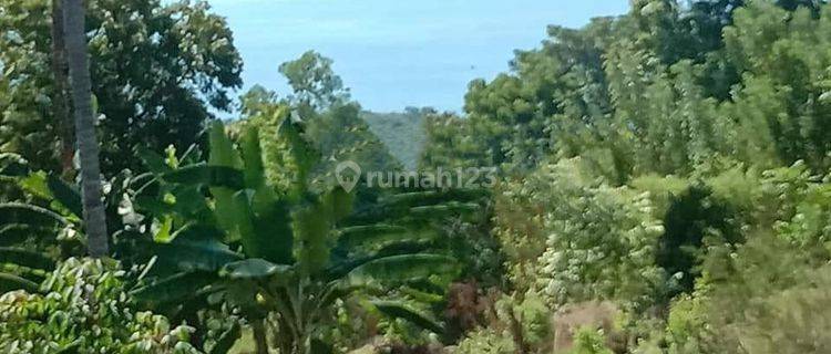 Dijual Tanah View Laut Lokasi Bukit Asah Bugbug Karagasem 1