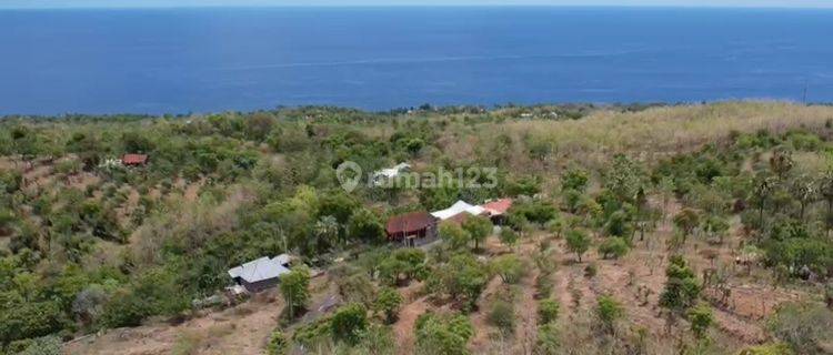 Land for sale at Pacung Pondok Batu Tejakula Buleleng 1