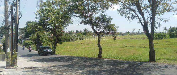 Land for rent on Canggu Main Street 1