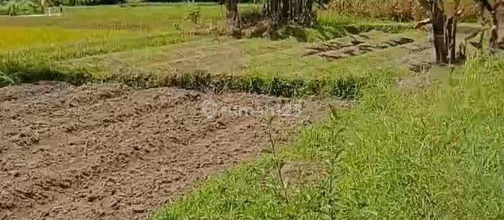 Land for sale located in Sibang Gede, Abian, Semal, Badung 1