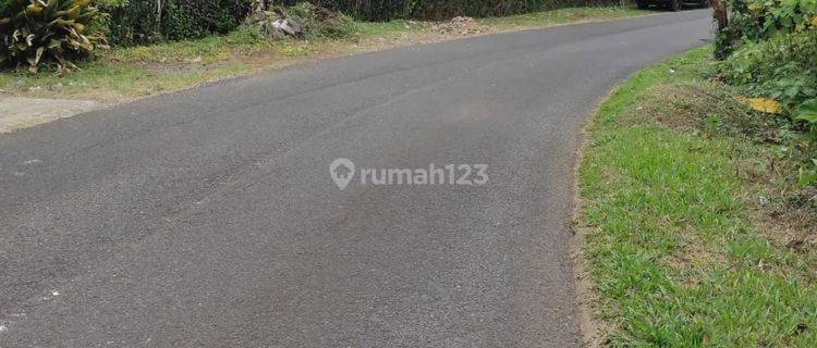 Dijual tanah kebun lokasi pupuan tabanan bali 1