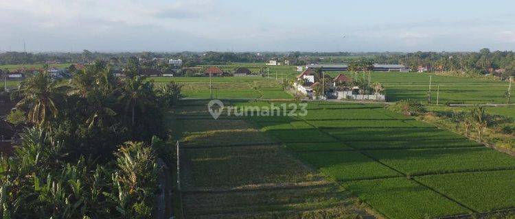 Dijual tanah lokasi beraban kediri tabanan 1