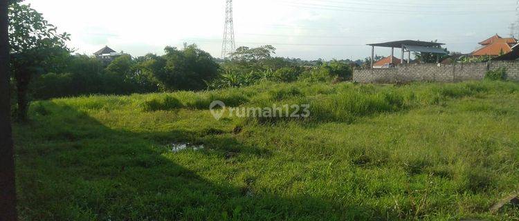 Disewakan tanah lokasi cica buduk mengwi 1