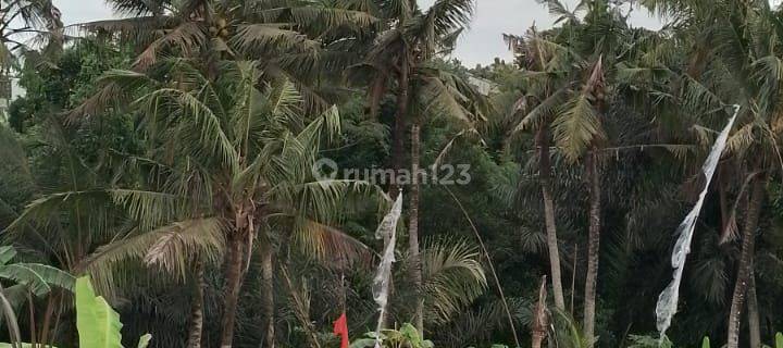 Land for rent in Sukawati Gianyar Bali 1