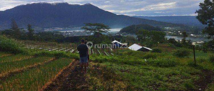 PASTI DEAL  DI JUAL TANAH VIEW DANAU LOKASI CANDI KUNING BEDUGUL BATURITI TABANAN 1