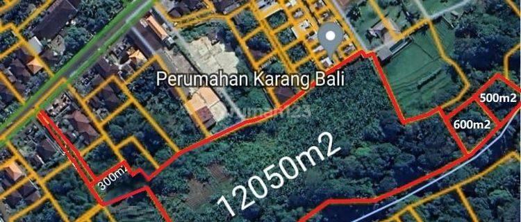 SURELY CLOSING FOR SALE LAND LOSS SUNGAI LOCATION PANDAK BANDUNG LAND LOT KEDIRI TABANAN
 1