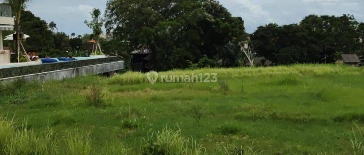 SURE DEAL FOR RENT OF LAND ON THE SIDE OF THE MAIN ROAD LOCATION PADANG LINJONG CANGGU KUTA UTARA BADUNG 1