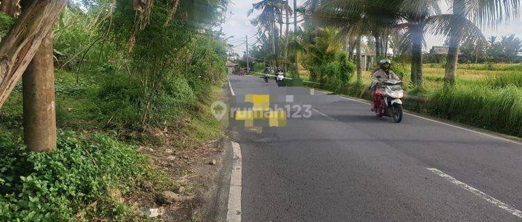 PASTI DEAL DI JUAL TANAH PINGGIR JALAN LOKASI PAYANGAN UBUD GIANYAR 1