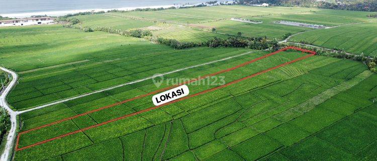 PASTI CLOSING DI JUAL TANAH VIEW LAUT LOKASI PASUT TIBIBIU KERAMBITAN TABANAN
 1