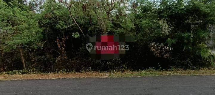 PASTI CLOSING DI SEWAKAN TANAH PINGGIR JALAN UTAMA LOKASI NELAYAN CANGGU KUTA UTARA BADUNG 1