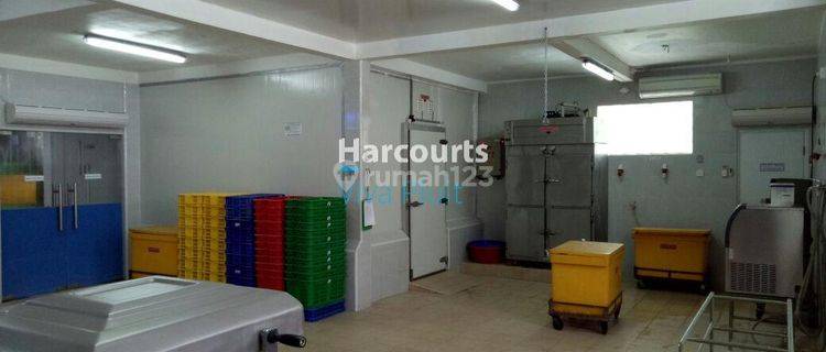 Down prices. Quick sale in 2 units warehouse in Kuta, Badung, Bali. 1