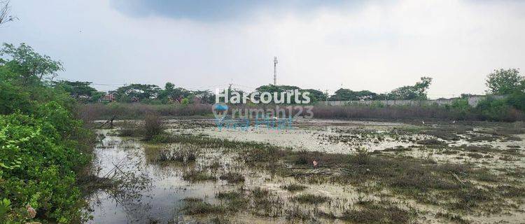 Tanah Blok Asem Gede, Pangenan, Cirebon. Harga Murah Bawah Pasar  1