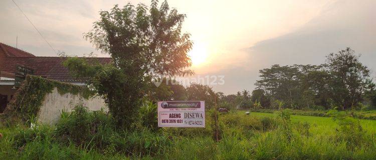 TANAH ISTIMEWA PALAGAN CCK RESTORAN CAFE PLAYGROUND  1