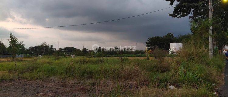 TANAH DIKONTRAKKAN MURAH DI PALAGAN NGAGLIK SLEMAN 1