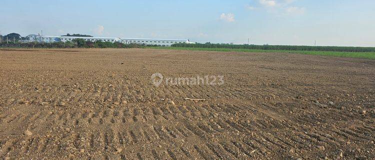 Jual Tanah Siap Bangun 30.000 m² Shgb Tanah Kotak 1