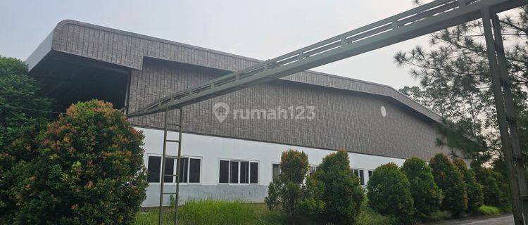 Gudang Auto Cuan! DiSewa Pabrik 5.000m²  Siap Pakai Produksi , Berizin B3, Lokasi Mewah di Karawang Timur!  