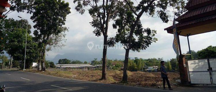 Jual Lahan Nol Jalan Raya Mojosari Pacet Mojokerto 1