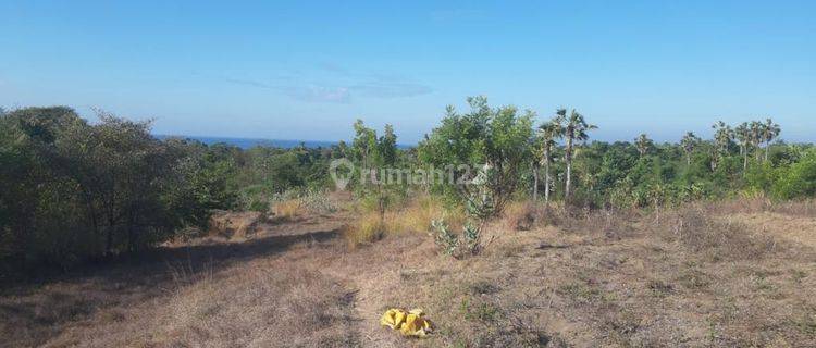 Termurah, Tanah Dekat Pantai di Karangasem Bali. SHM Luas 4ha 1