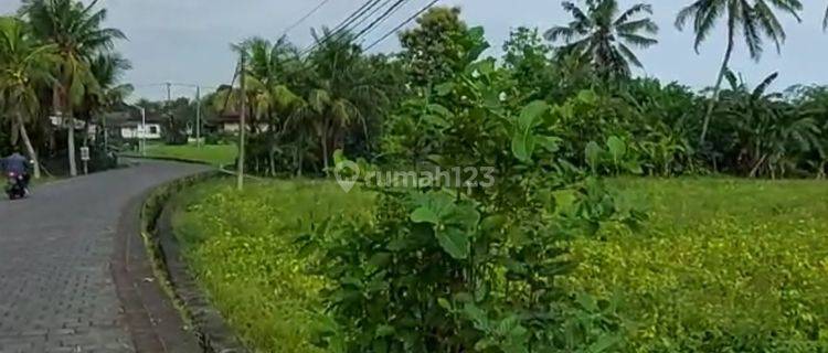 Termurah, Tanah siap bangun berlokasi premium di Tanah Lot - Bali 1