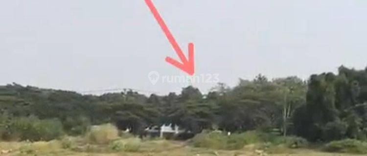 Dijual Tanah Dibawah Pasaran Jalan Raya Pantura Tuban Sudah Ada Perijinan Perumahan 1