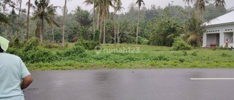 Dijual Cepat Dan Murah Tanah Datar Lokasi Pinggir Jalan Propinsi Suli, Salahutu, Maluku Tengah 1