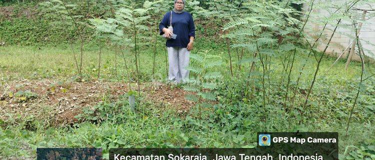 Tnah Kapling Murah Purwokerto Selatan 1