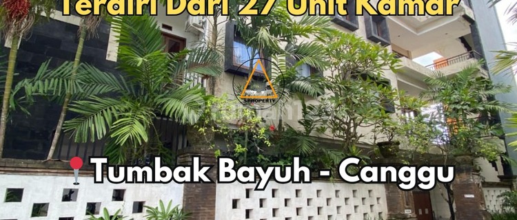 FOR SALE GUESTHOUSE IN TUMBAK BAYUH CANGGU AREA 1