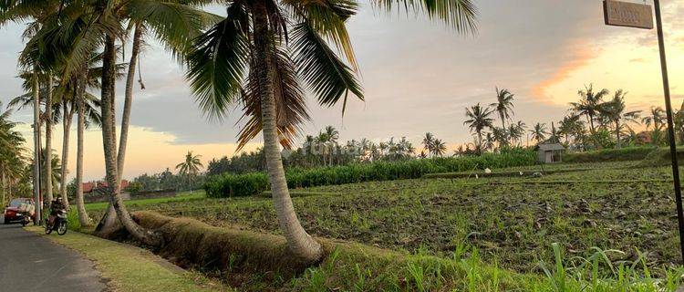 Land For Rent Jungle View In Kemenuh Ubud 1